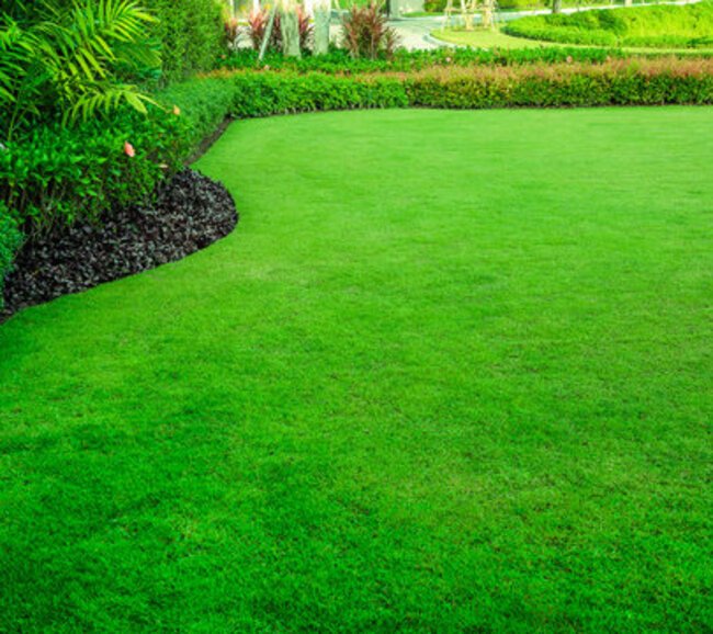 Lawn Care in Fayetteville, NC?